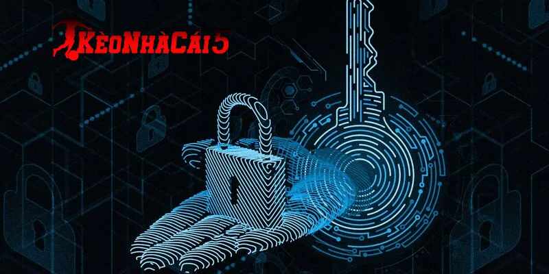 Các quyền trong chính sách của kèo nhà cái