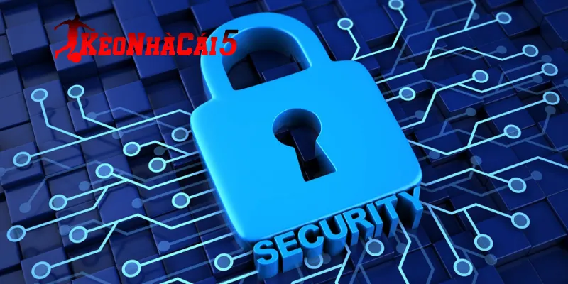 Quy trình xử lý rủi ro dành cho thành viên