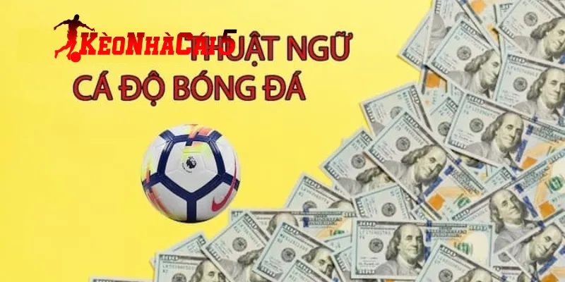 Vì sao nên biết các thuật ngữ trong cá độ bóng đá?